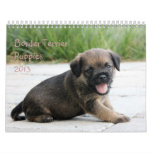 Border Terrier Puppies 2013 Calendar