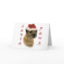 Border Terrier Santa Paws Greeting Card