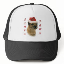 Border Terrier Santa Paws Hat