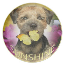 Border Terrier Sunshine Apparel, cards, gifts Plates