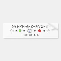 BorderCollie Bumper Stickers
