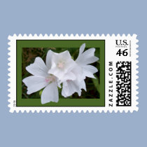 Bordered White Mallow Postage postage