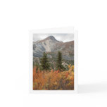 Boreal Friends; Customizable Greeting Card
