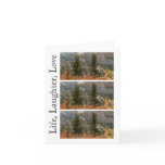 Boreal Friends; Customizable Greeting Card