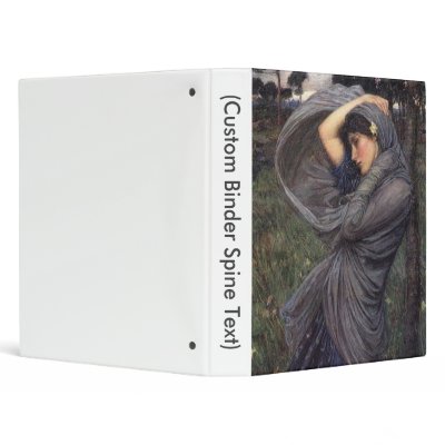 Boreas Vinyl Binder by ImmortalArtwork