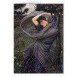 Boreas Cards