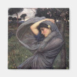 Boreas Iman De Frigorífico