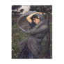 Boreas Postcards