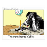 Bored Border Collie Funny Gifts Tees Collectibles Postcards