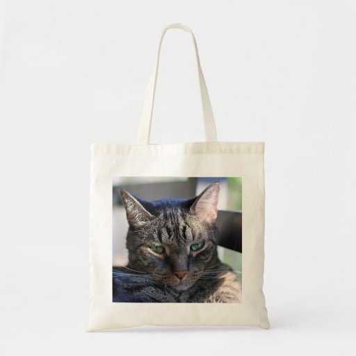 Bored Cat Tote Bag
