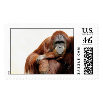 Bored Stamps