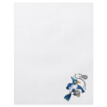 Boris Blue Jay flyers