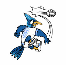 Boris Blue Jay Photo Cut Outs