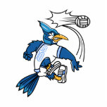 Boris Blue Jay Photo Cut Outs