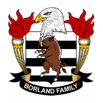 Borland Family Crest t-shirts