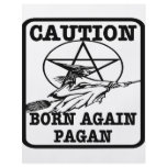 Born Again Pagan #002 Custom Flyer