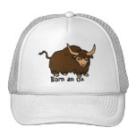 Born an Ox Hat