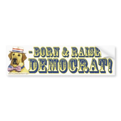 Born And Raised Democrat  Bumper Sticker  by yellowdogdemocrat