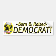 Born And Raised Democrat - Yellow Dog Bumper Stick Bumper Stickers