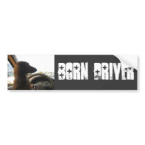 born drive bumper stickers