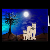 BORN FREE cards