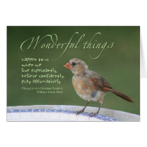 Born Free cards by kingdomkiddo Born Free cards
