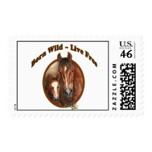 Born Free-Live Wild Mustang Postage Stamp llmartin