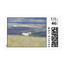 Born Free Mustang Horse Postage