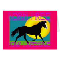 Born Free - Now Expensive cards