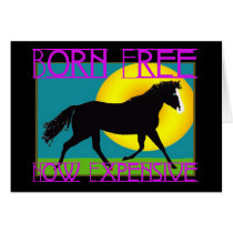 Born Free - Now Expensive cards