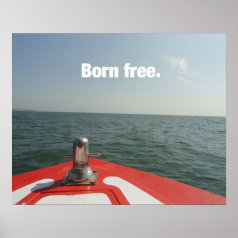 Born Free Posters