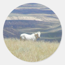 Born Free Wild Mustang Horse Stickers