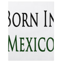 Born In Mexico flyers by Supernova23 Born In Mexico flyers