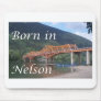 Born in Nelson:  Bridge