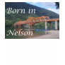 Born in Nelson:  Bridge