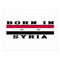 Born In Syria Postcard