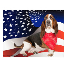 Born in the USA Announcements