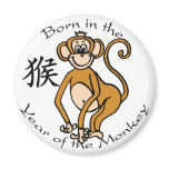 Born in the Year of the Monkey (Chinese) Magnets