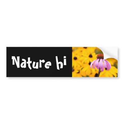 born into color bumper sticker by blacqbook