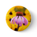 born into color buttons by blacqbook born into color buttons