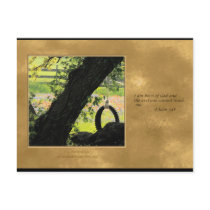 Born of God Postcard by ckmins Born of God Postcard