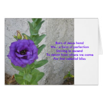 Born of Jesus Card cards