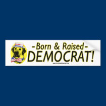 Born & Raised Democrat! bumper stickers