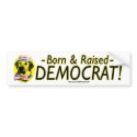 Born & Raised Democrat! bumper stickers by buttonZup Born & Raised Democrat! bumper stickers