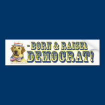 Born & Raised Democrat! bumper stickers