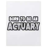 Born To Be an Actuary Flyers
