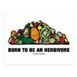 Born To Be An Herbivore (Pile Of Vegetables) Postcards