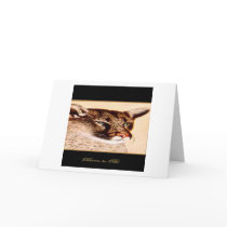 "BORN TO BE" BIRTHDAY CARD