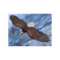 Born To Be Free posters