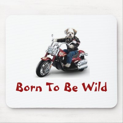 Born To Be Wild Mouse Pads by mike445